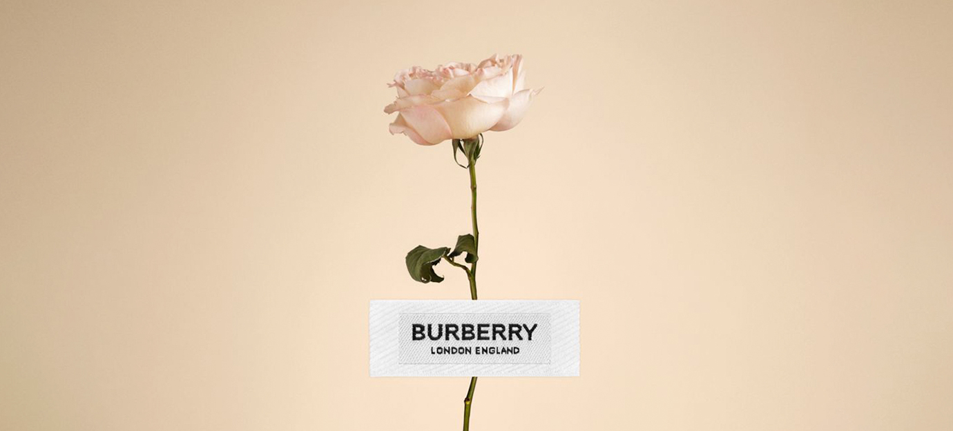 Burberry cosa significa online